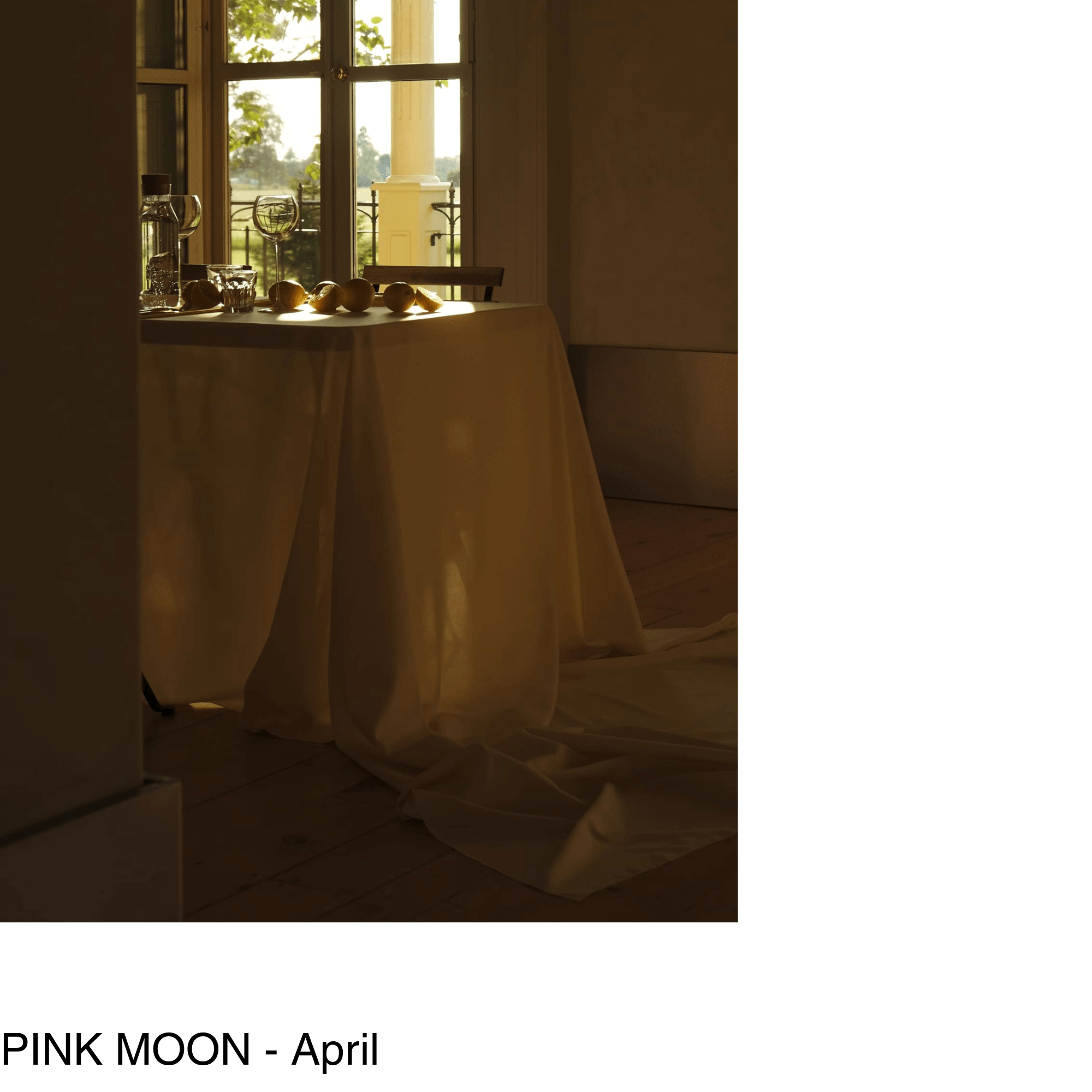 A table sits in the diffused sunlight in front of a set of french doors