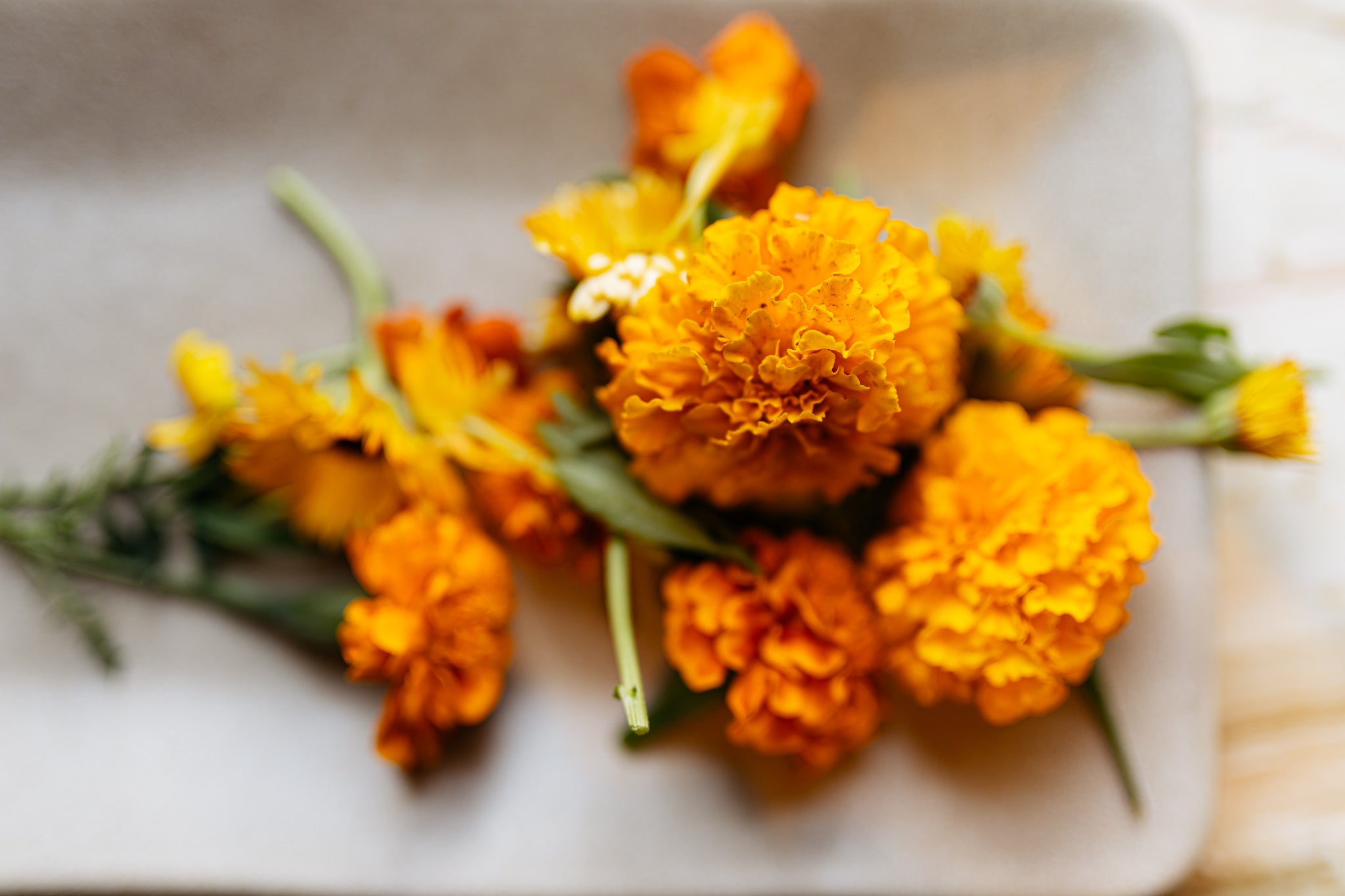 closeup of marigolds