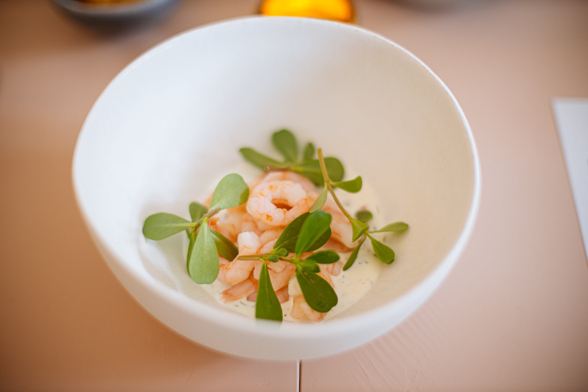 closeup of food in a bowl