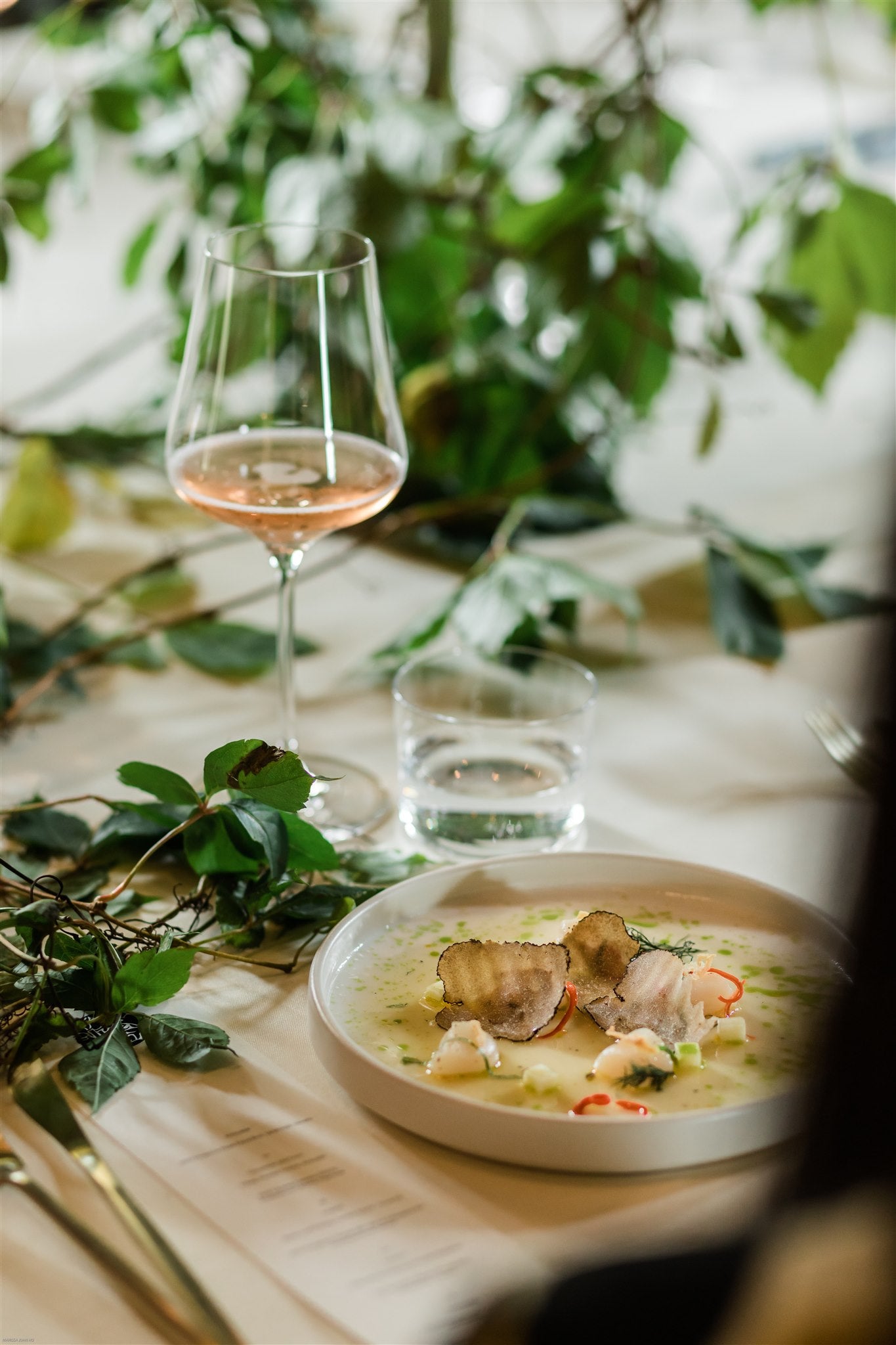 closeup of meal on plate, glass of wine, printed menu