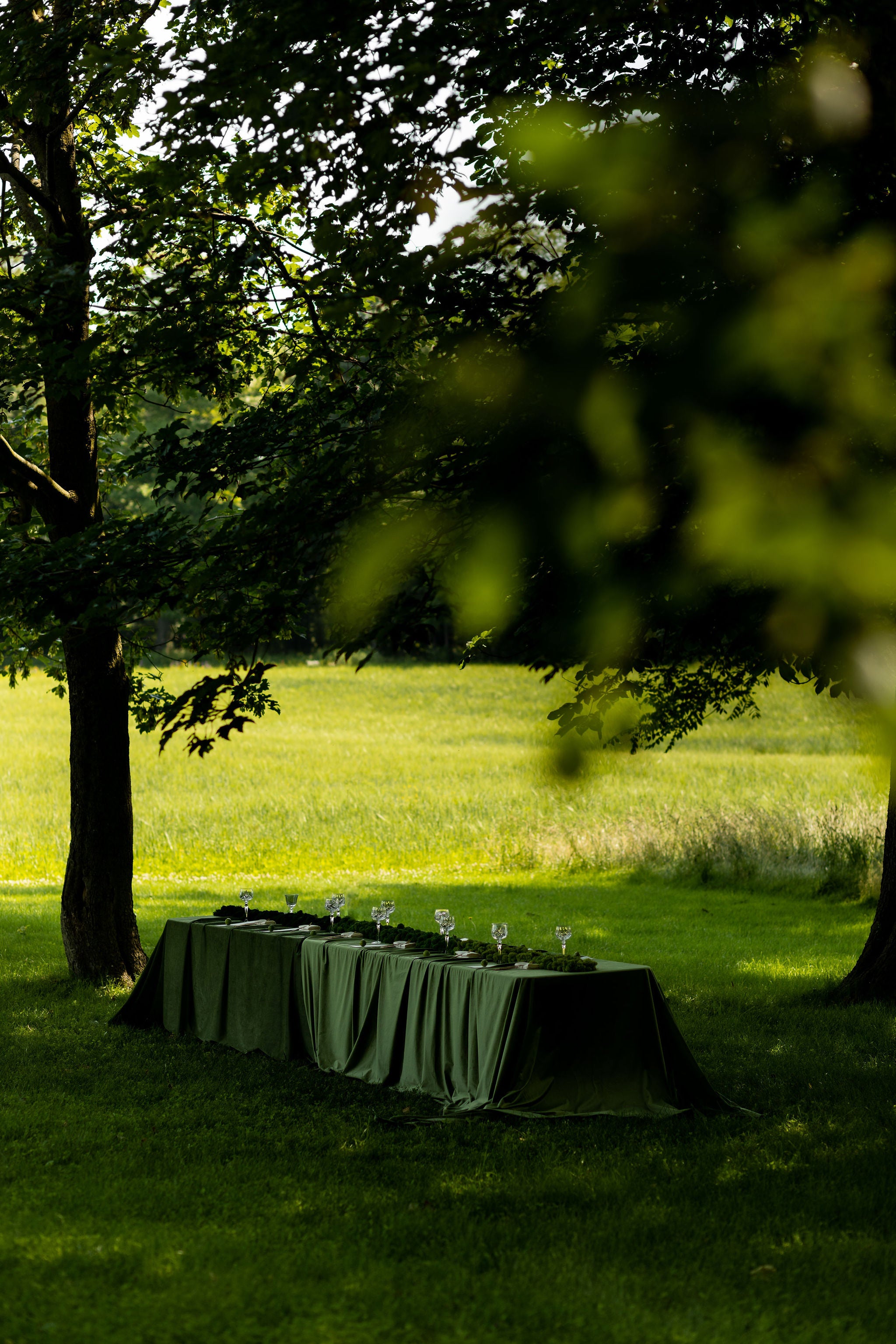 long table set with a green velvet tablecloth sits among the green grass and tall trees