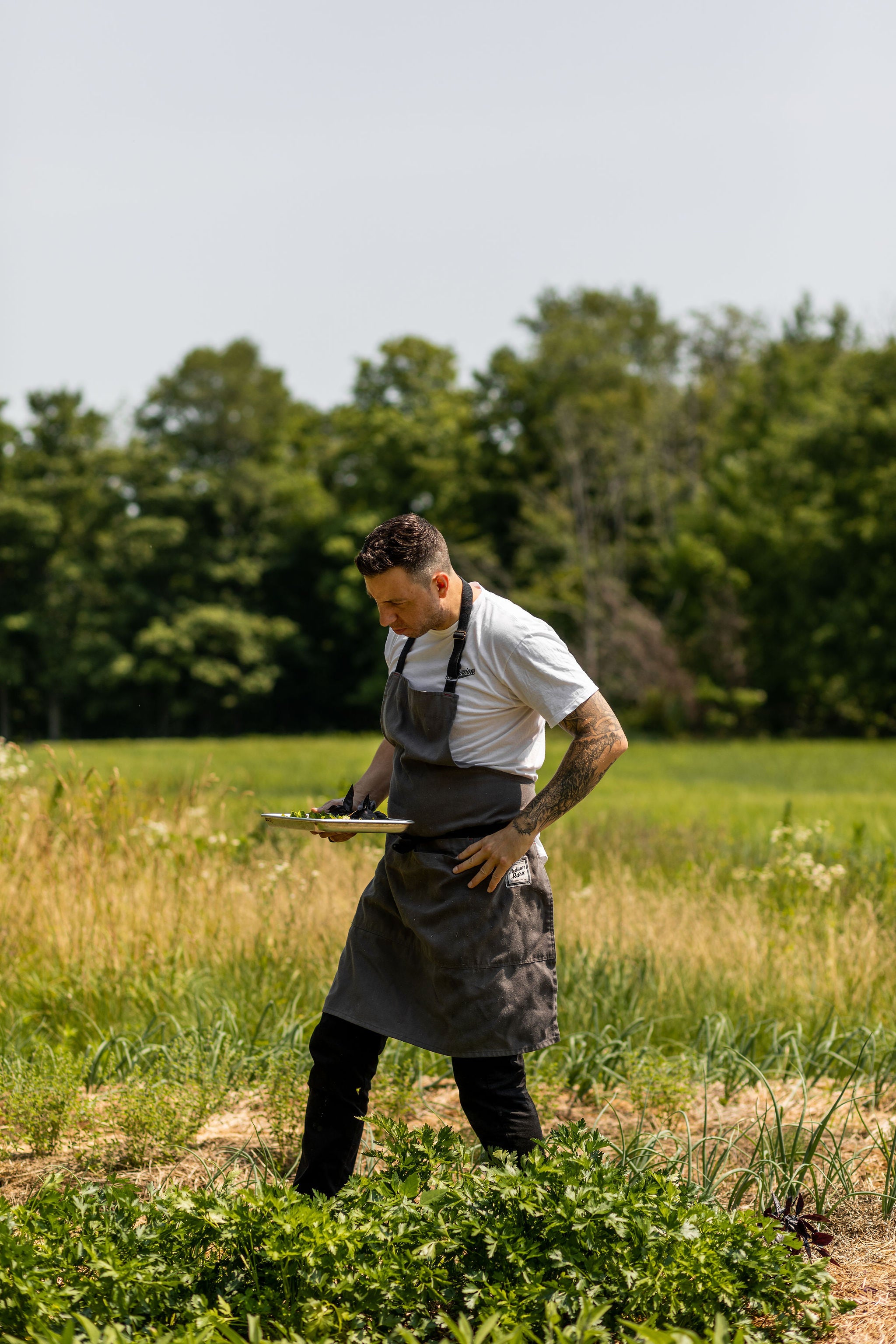 chef Kevin Castonguay picking herbs in the garden