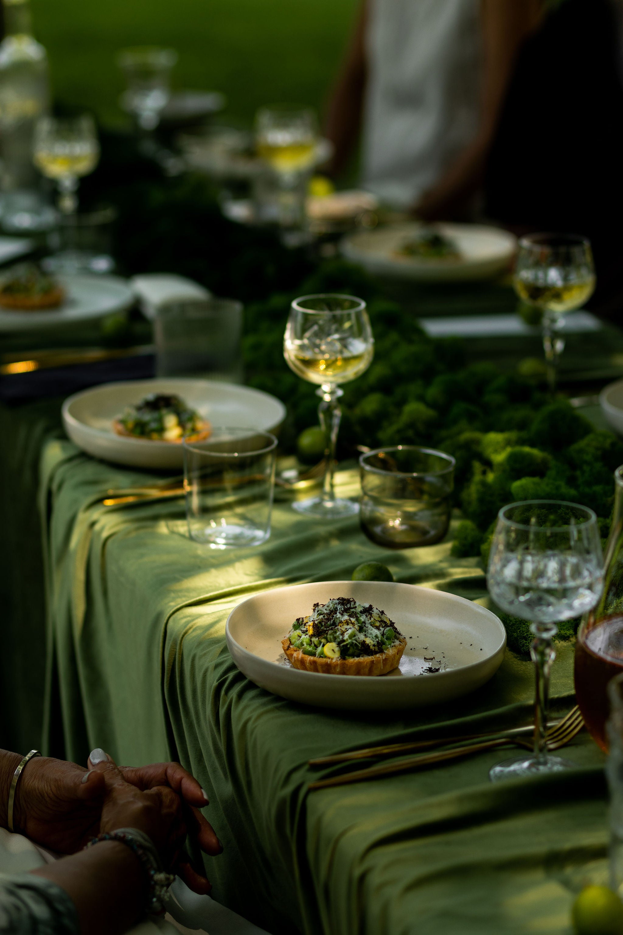 closeup of meal on plate, green velvet tablecloth in dappled light