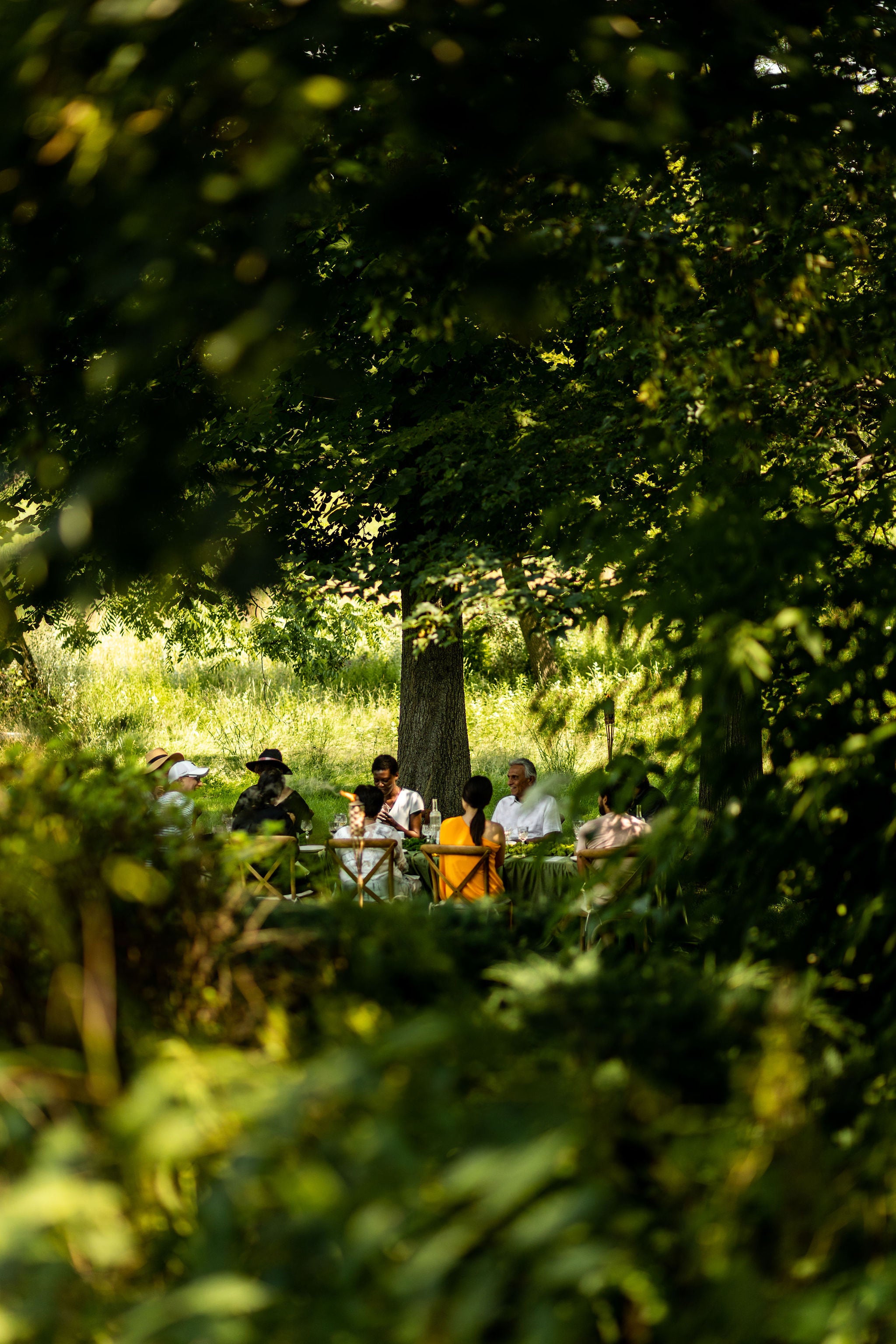 guests seated around a long table in the grass under a large tree