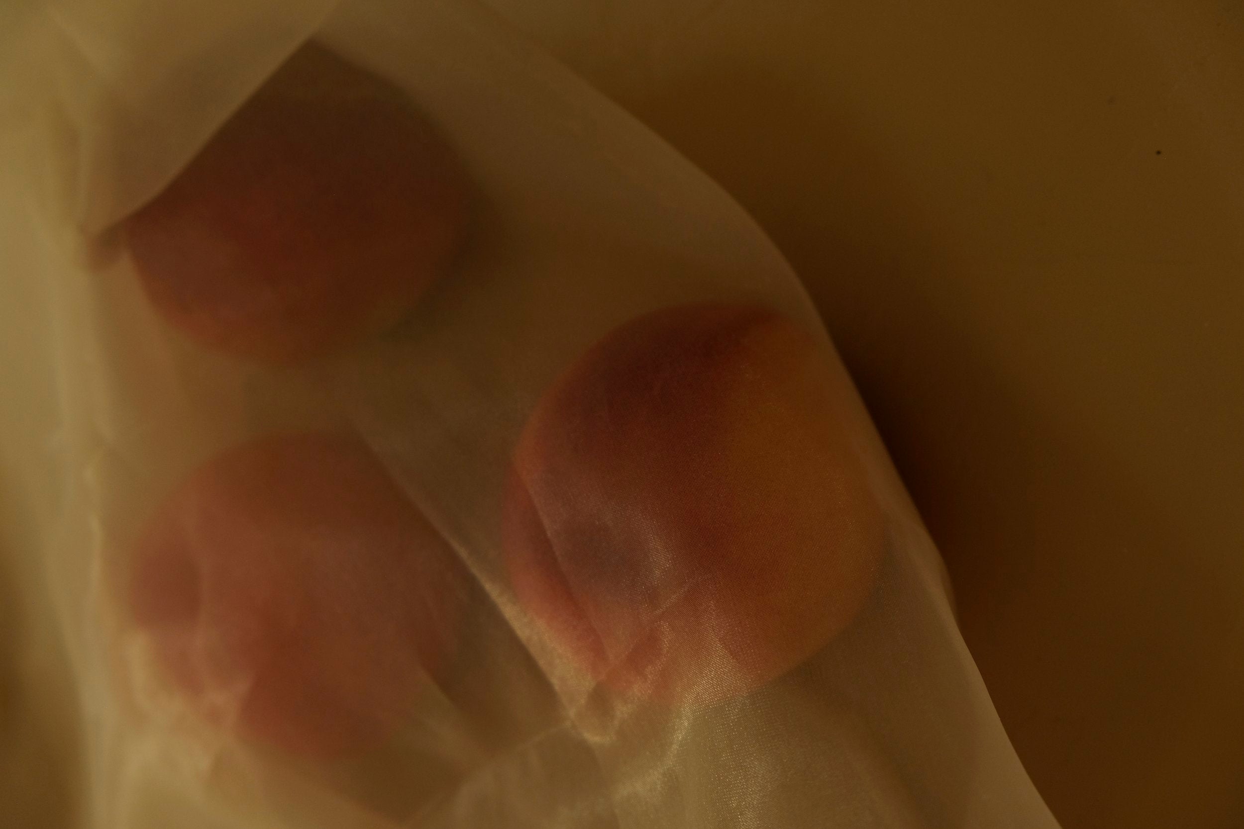 peaches sit on a table inside an organza tote