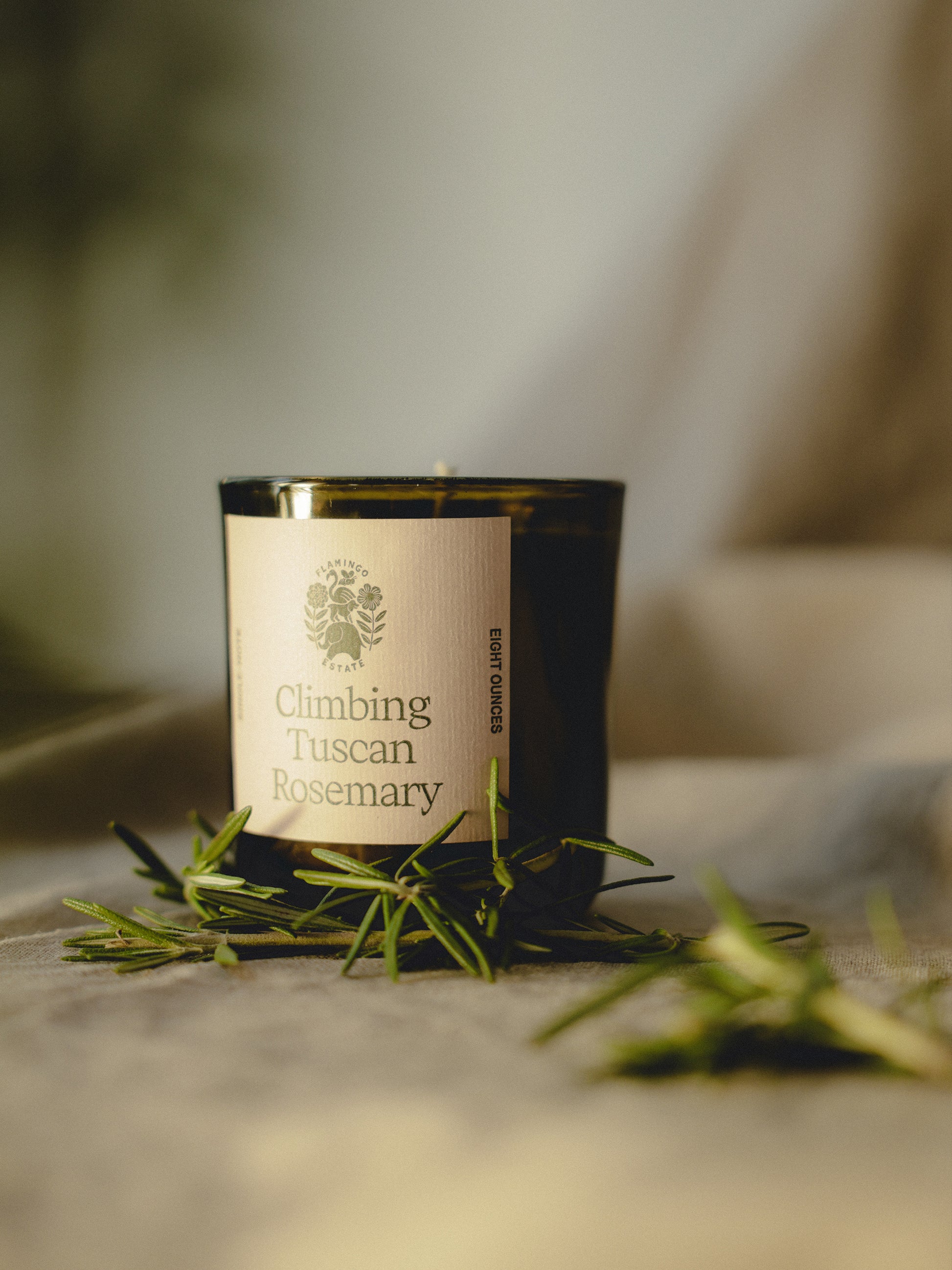 Climbing Tuscan Rosemary Candle by Flamingo Estate