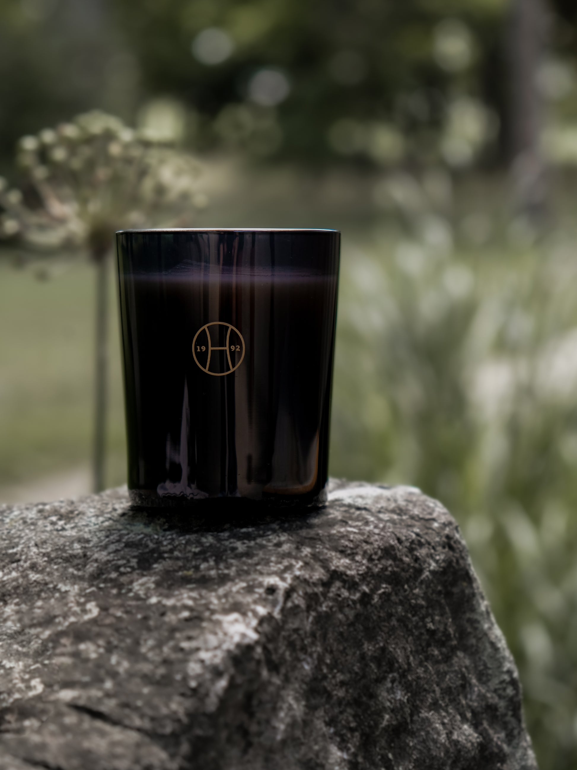 Dandelion Candle by Perfumer H