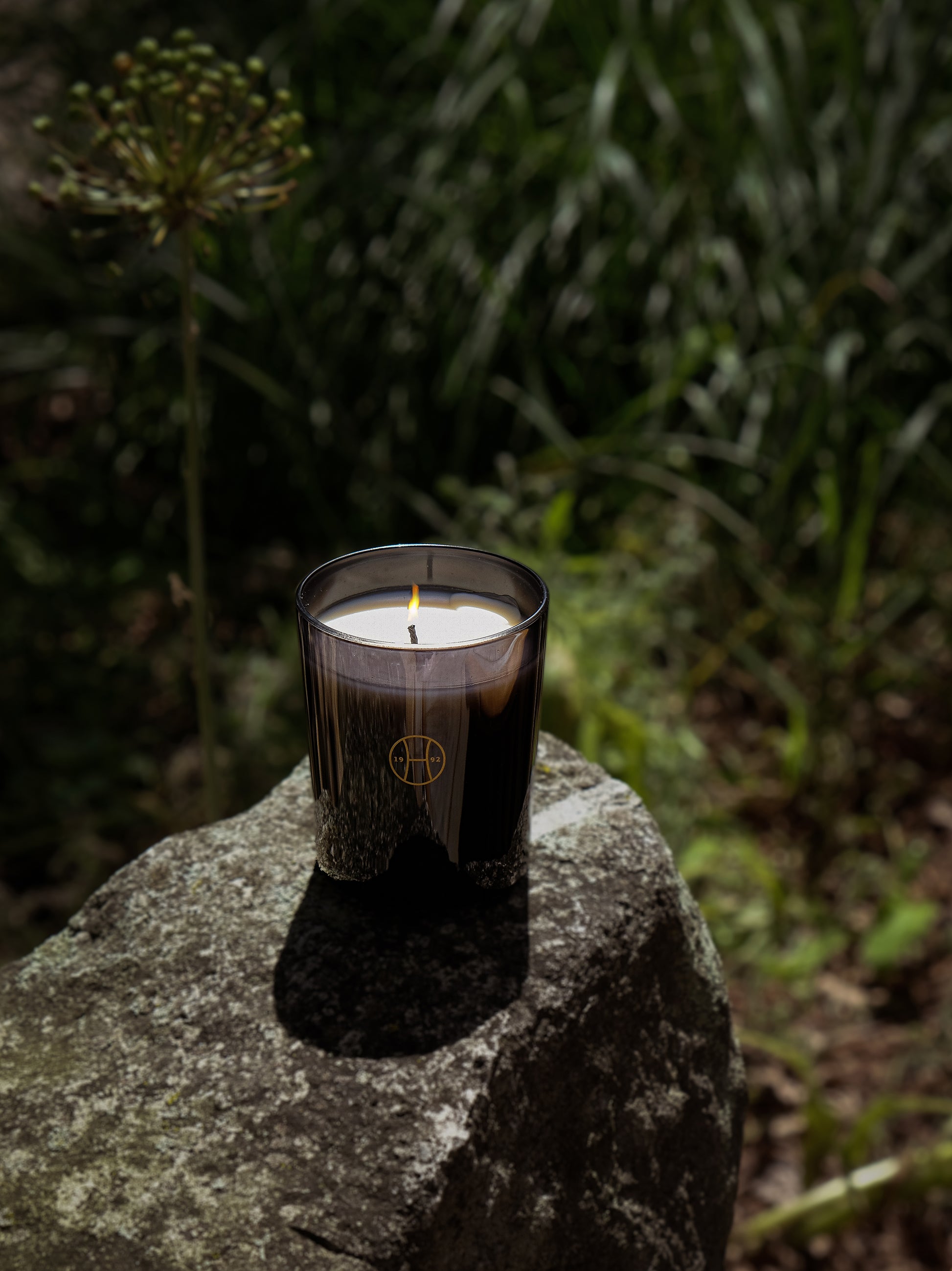 Dandelion Candle by Perfumer H