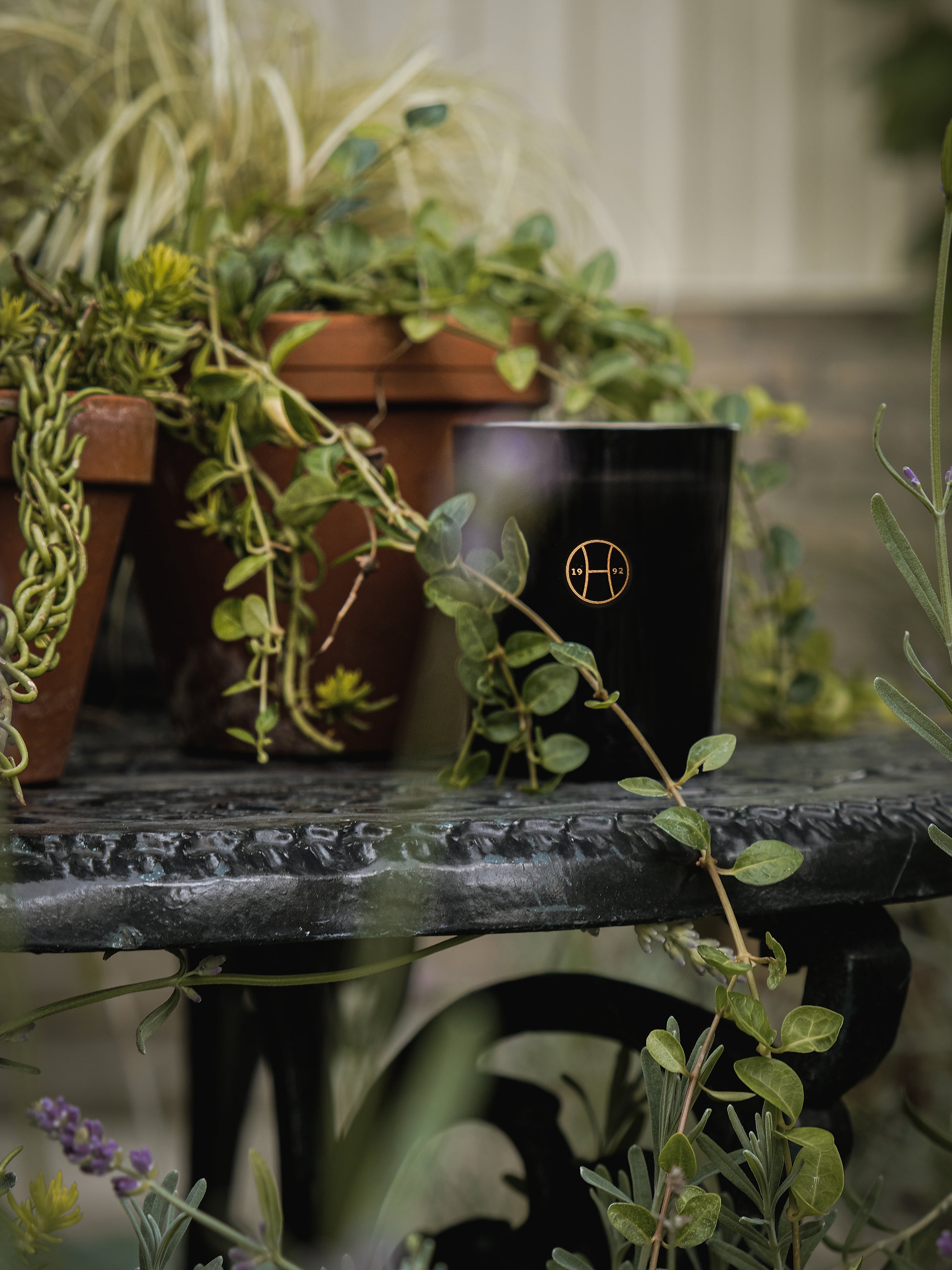 Ivy Candle by Perfumer H