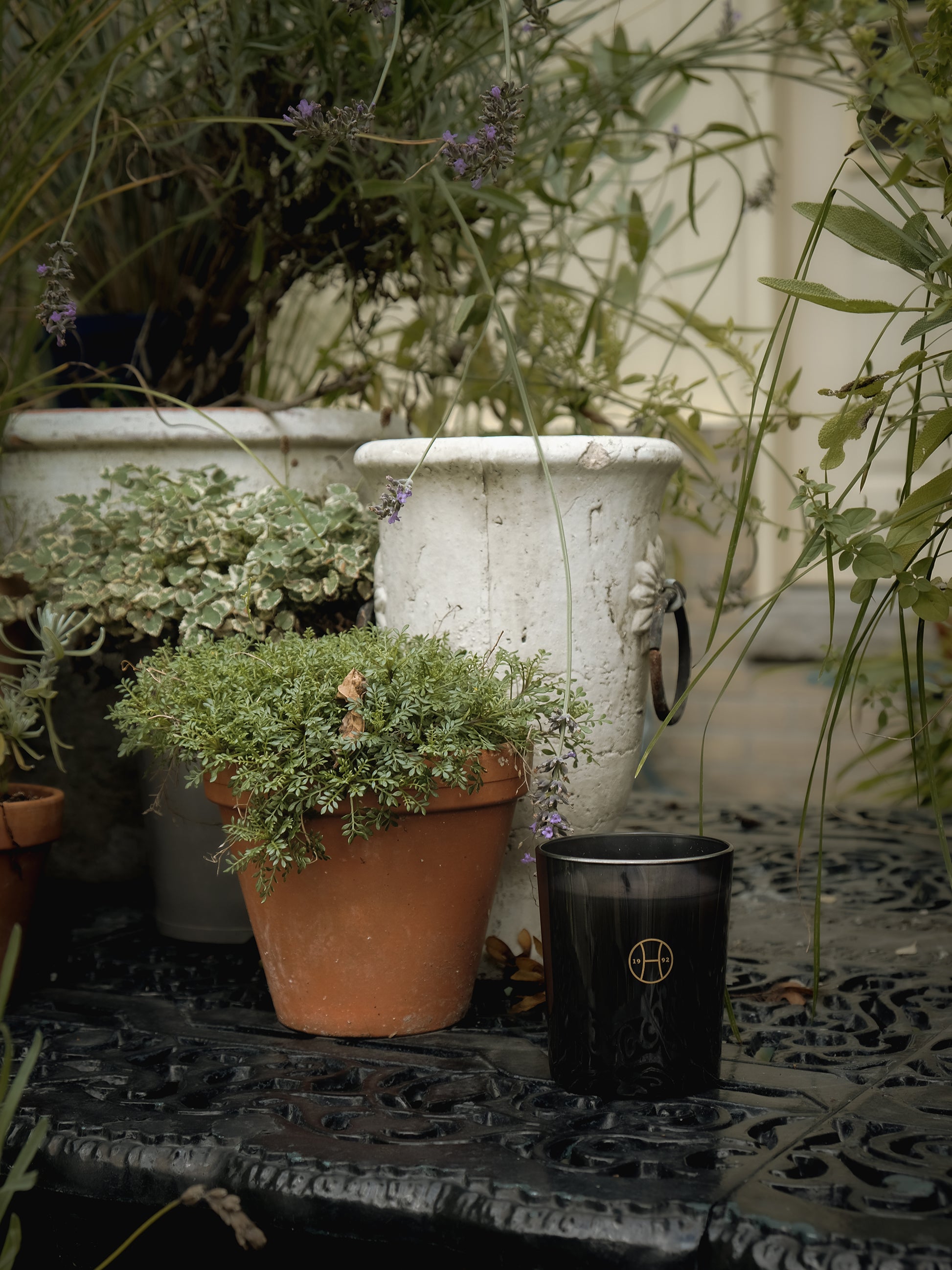 Ivy Candle by Perfumer H