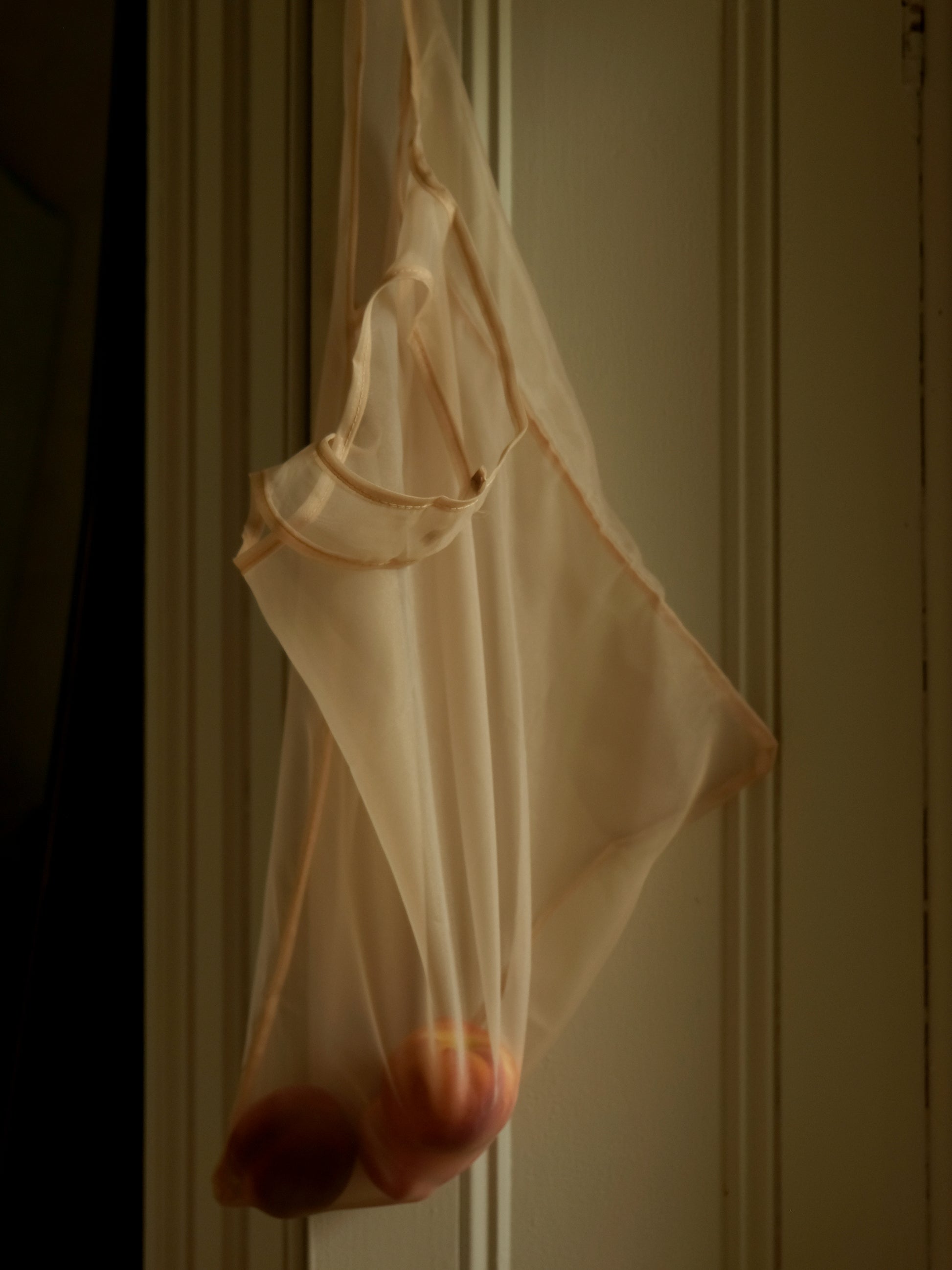 Rosa Organza Tote by Lune 1860